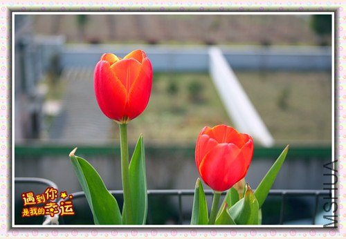 ��Ƭ 151_����.jpg