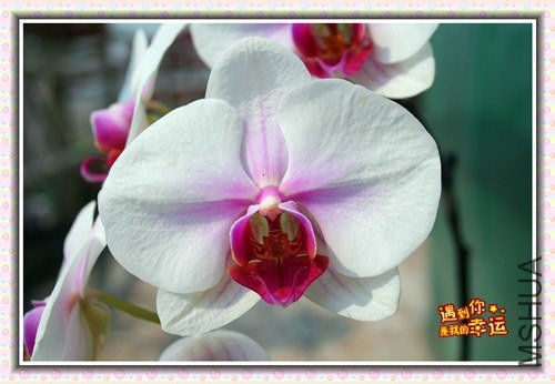 ��Ƭ 172_����.jpg