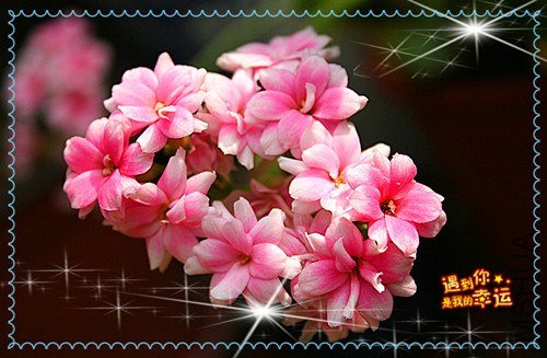 ��Ƭ 128_����.jpg