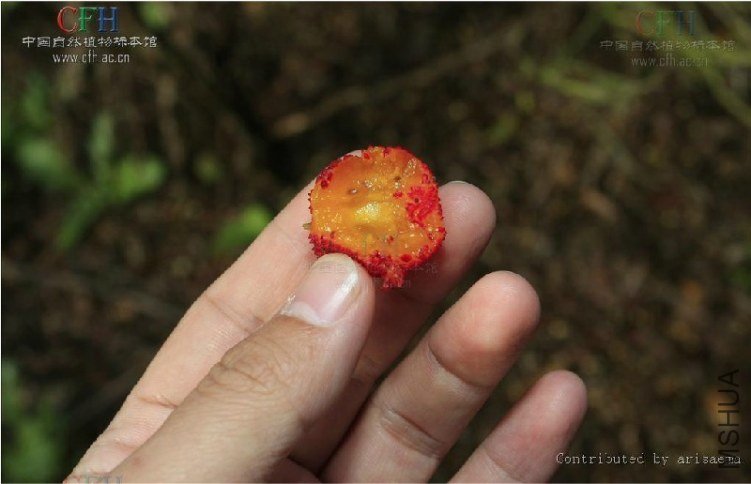 ҧ���Ͳ�����÷�˰�