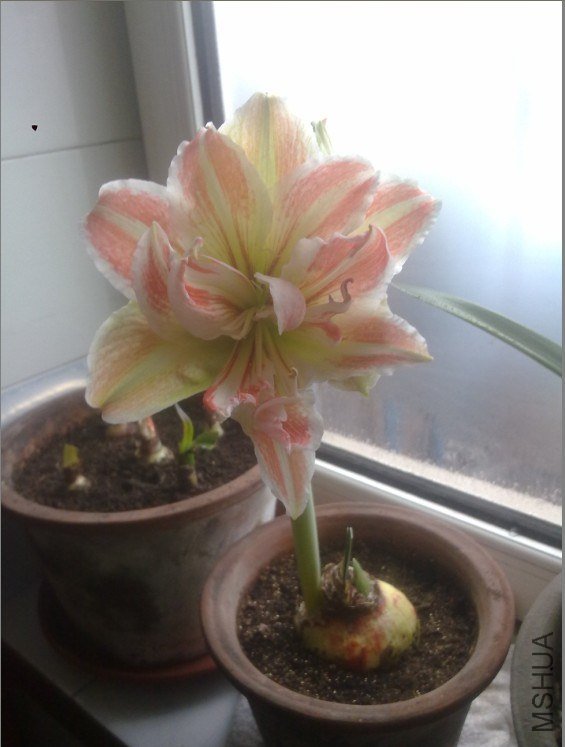 QQ��ͼ20130320180425.jpg