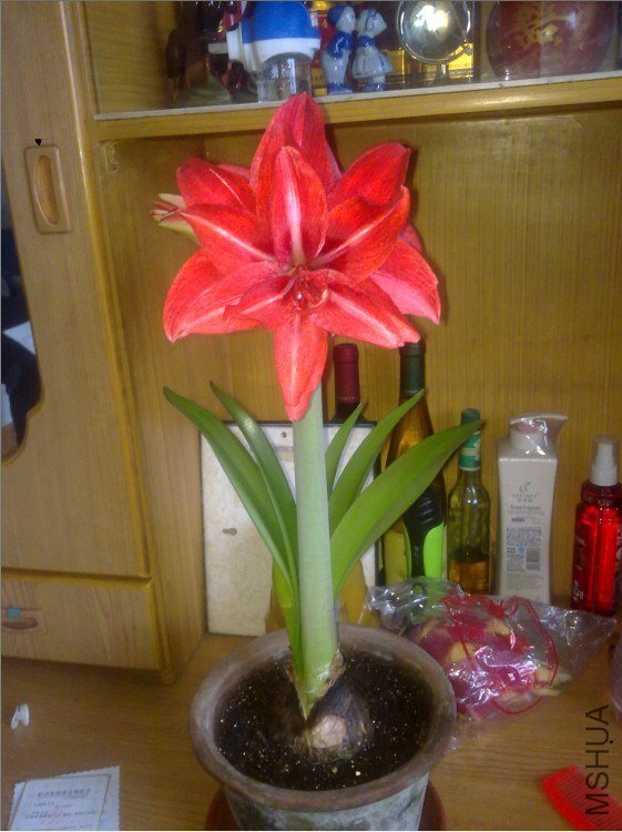 QQ��ͼ20130320180551.jpg