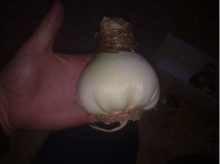 QQ��ͼ20130320180841.jpg