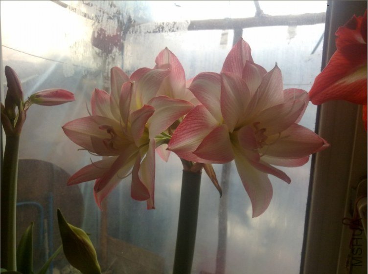 QQ��ͼ20130320180935.jpg