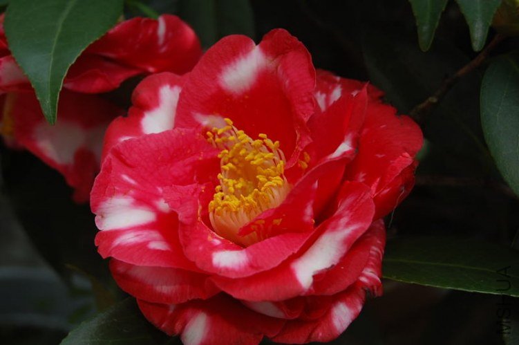 DSC_01240267.JPG