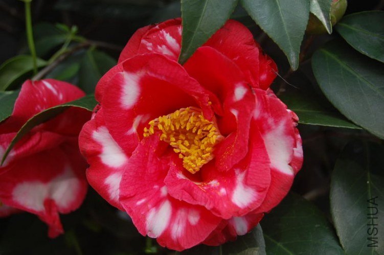 DSC_01210264.JPG