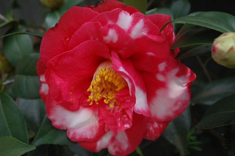 DSC_01150258.JPG