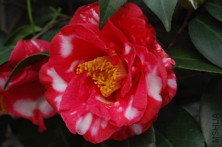 DSC_01200263.JPG