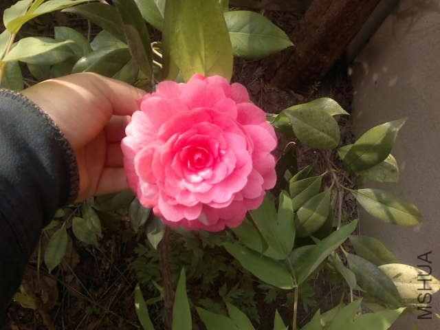 20130321289.jpg