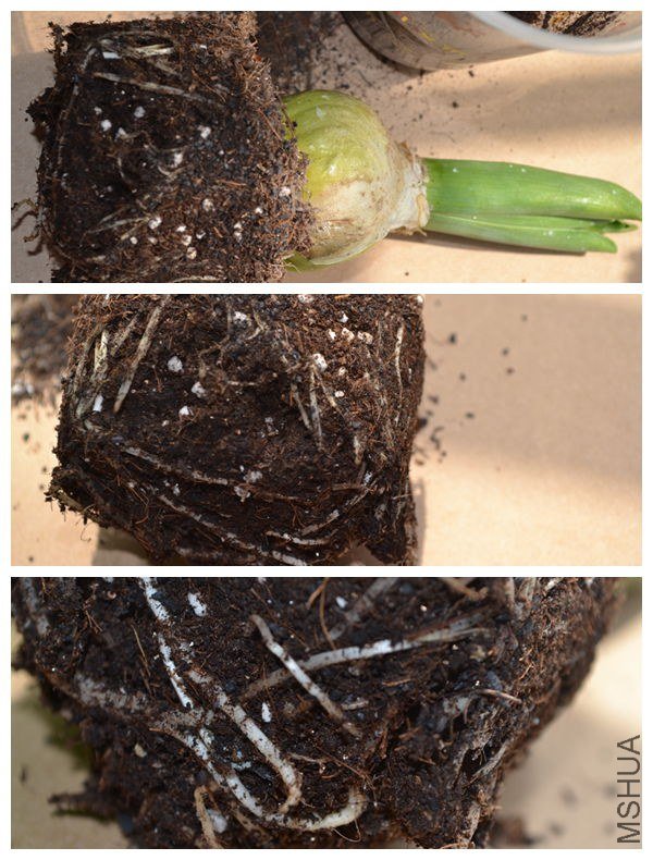 DSC_0189_����.jpg