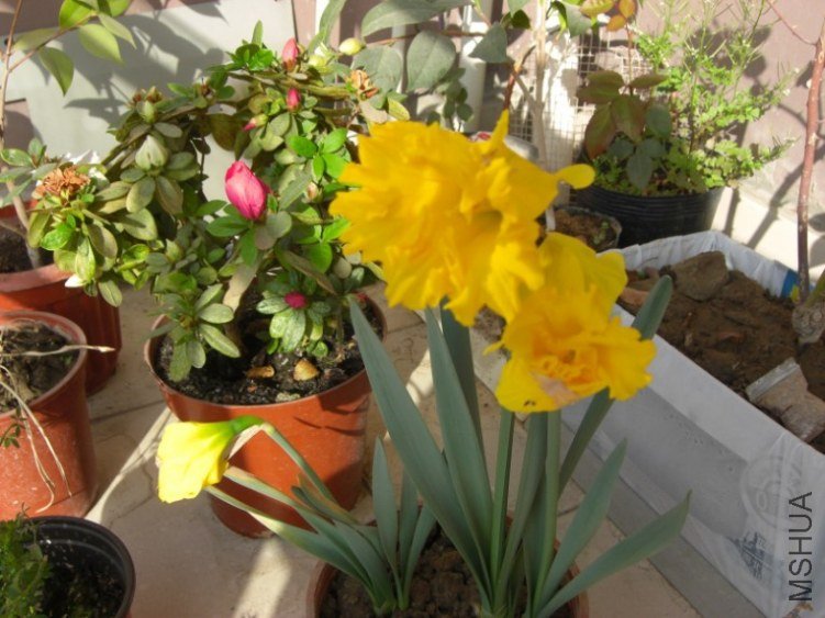 QQ��ͼ20130321143150.jpg