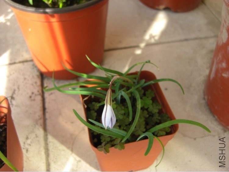 QQ��ͼ20130321143203.jpg