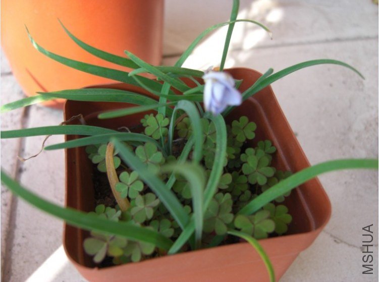 QQ��ͼ20130321143240.jpg