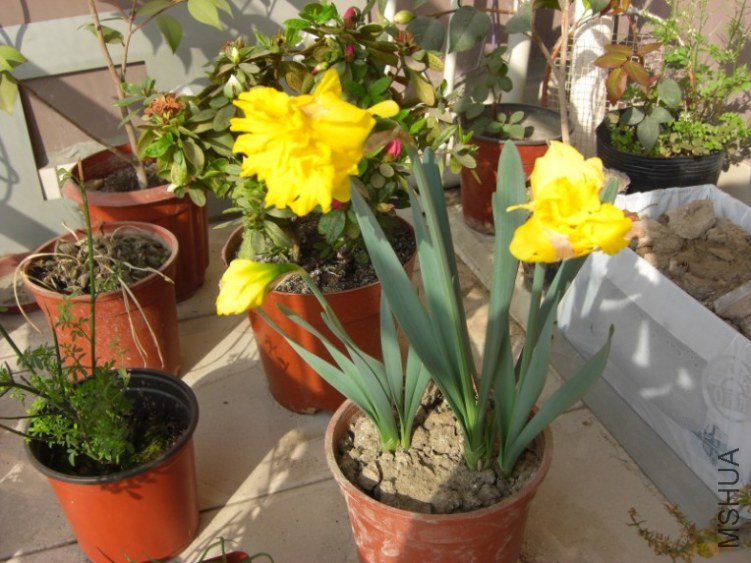 QQ��ͼ20130321143329.jpg