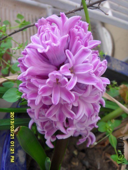 QQ��ͼ20130321142239.jpg