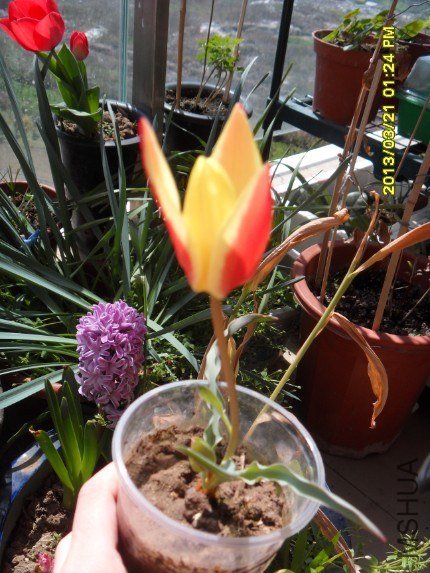 QQ��ͼ20130321142335.jpg