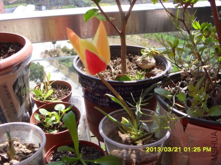 QQ��ͼ20130321142345.jpg