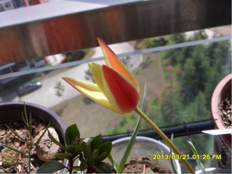 QQ��ͼ20130321142356.jpg