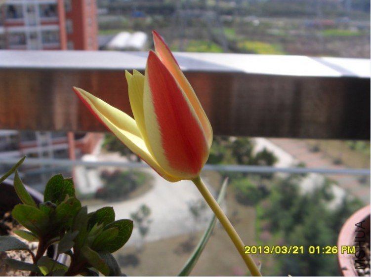 QQ��ͼ20130321142405.jpg