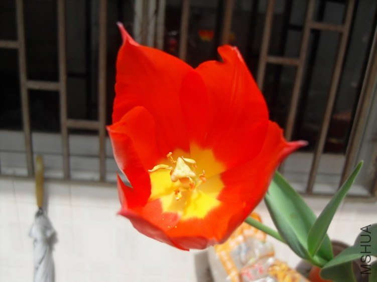 SDC17469.JPG