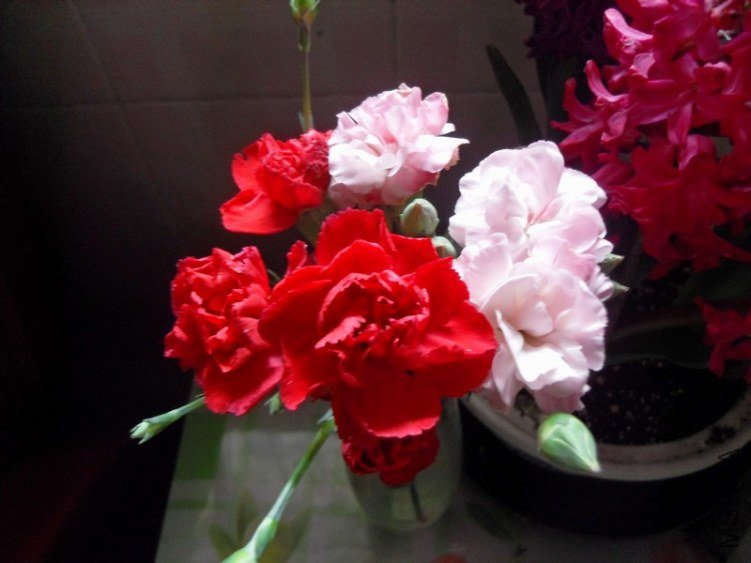 SDC17486.JPG