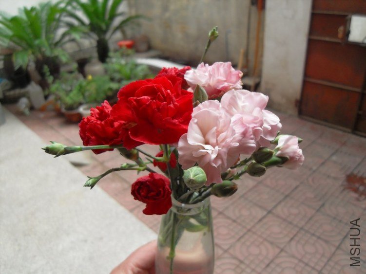 SDC17491.JPG