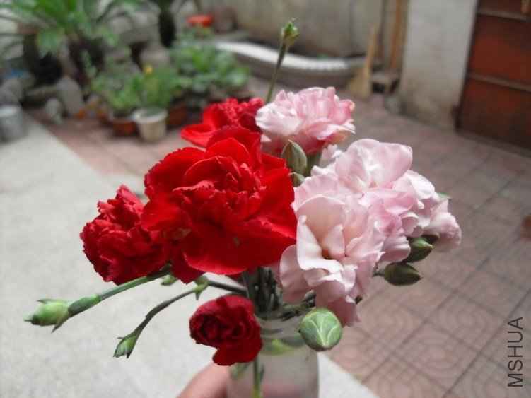 SDC17492.JPG