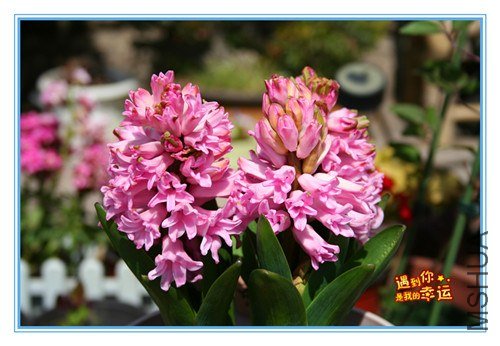 ��Ƭ 045_����.jpg