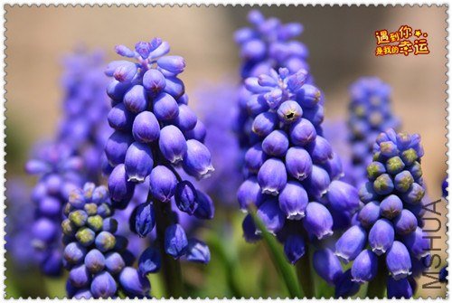 ��Ƭ 051_����.jpg