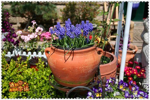 ��Ƭ 047_����.jpg