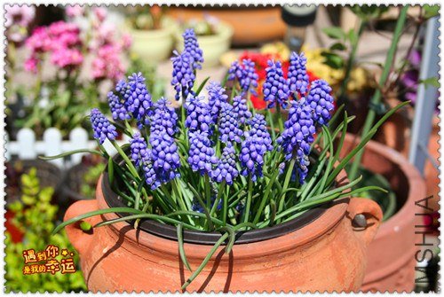 ��Ƭ 048_����.jpg