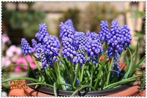 ��Ƭ 049_����.jpg