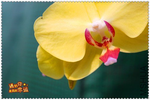 ��Ƭ 179_����.jpg