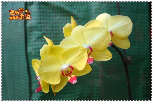 ��Ƭ 174_����.jpg