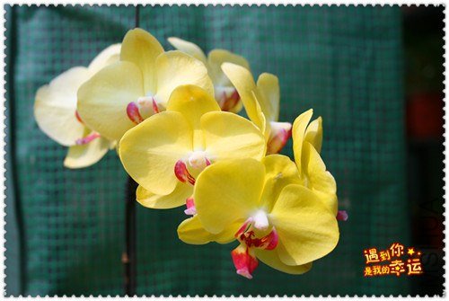 ��Ƭ 176_����.jpg