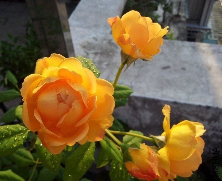20120507_064025.JPG