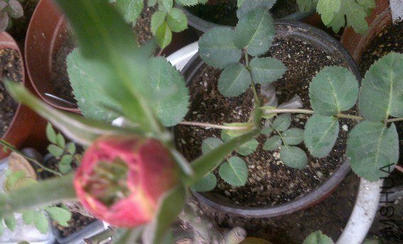 HRDS5SF0$UJ@@7W)KZD[TMX.jpg