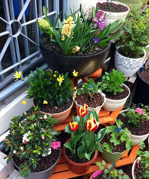 СԺһ��20130322.jpg