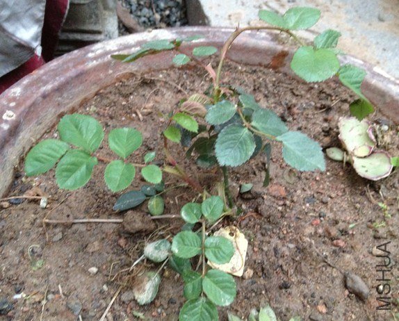 QQ��ͼ20130322130648.jpg