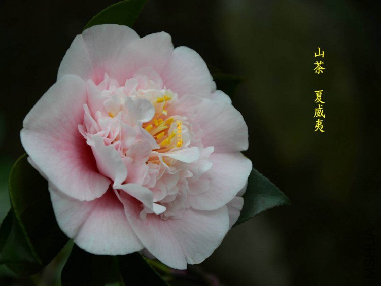 ������20130322001.jpg