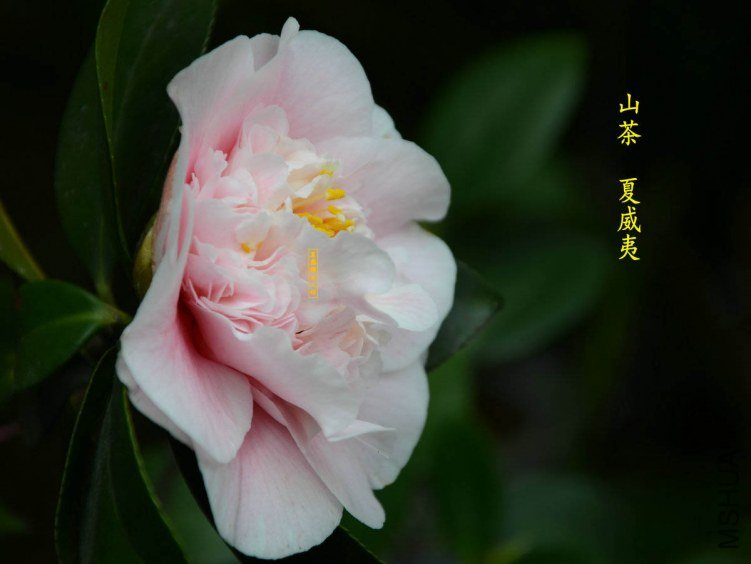 ������20130322002.jpg