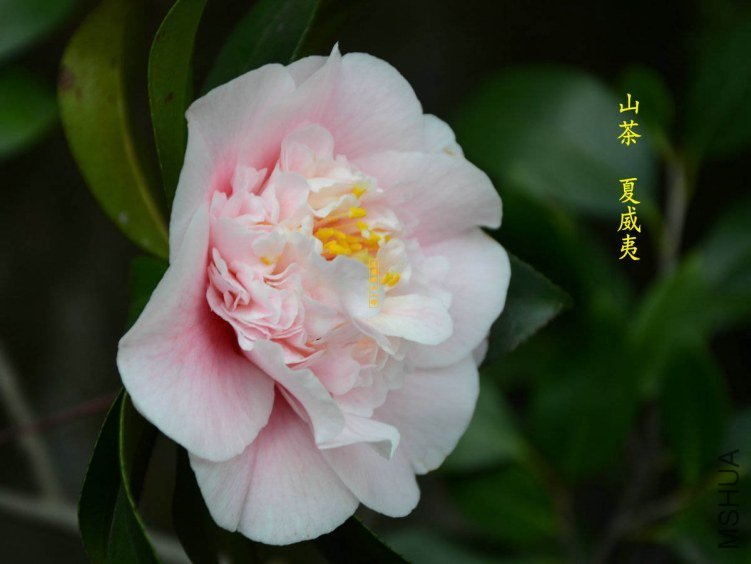 ������20130322003.jpg