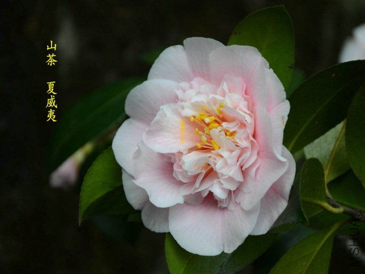 ������20130322005.jpg