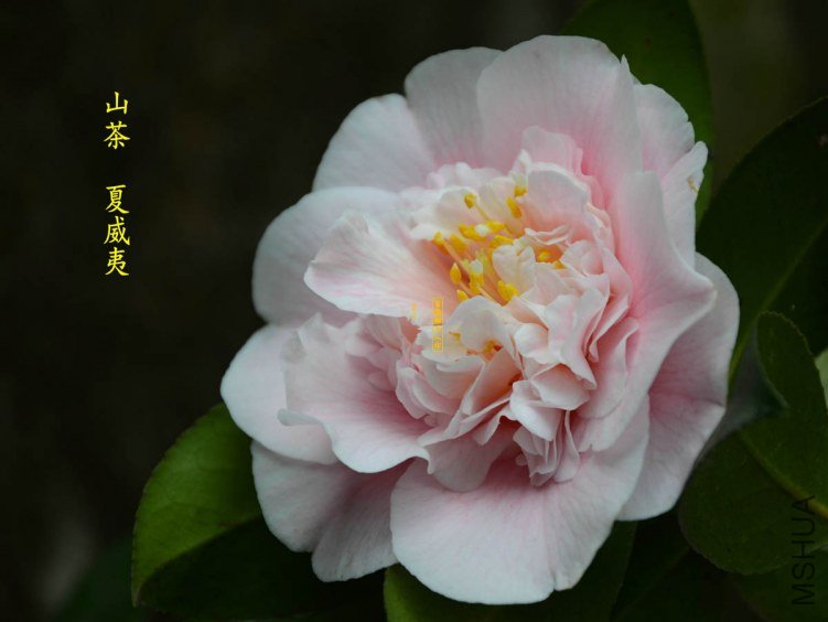 ������20130322006.jpg