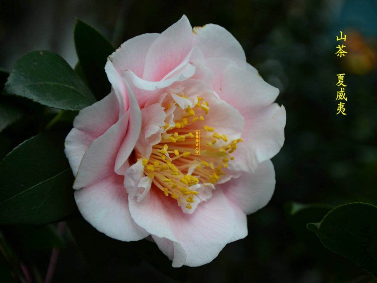 ������20130322009.jpg
