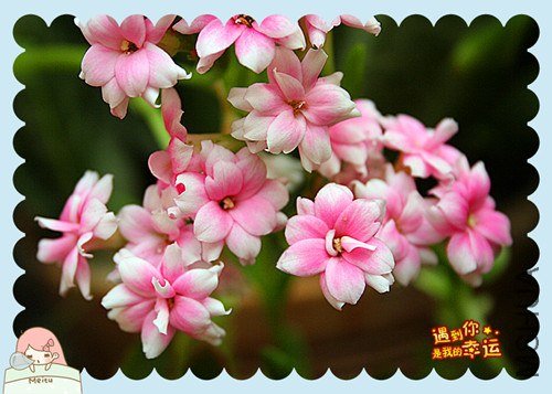 ��Ƭ 132_����.jpg