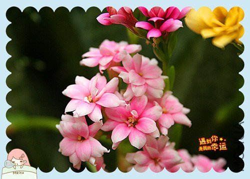 ��Ƭ 131_����.jpg