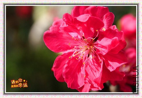 ��Ƭ 010_����.jpg