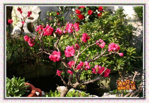 ��Ƭ 005_����.jpg