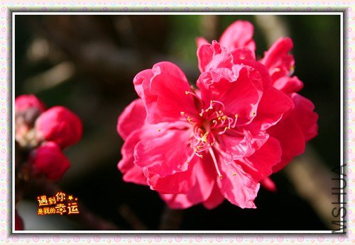 ��Ƭ 007_����.jpg